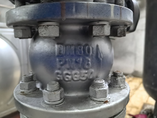 止回閥殼體有DN字樣口徑壓力PN16材質(zhì)GGG50