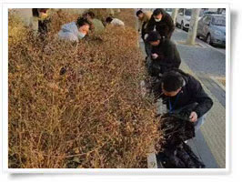 凈美中國(guó)從門口開始