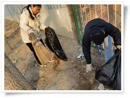 凈美中國(guó)行動(dòng)